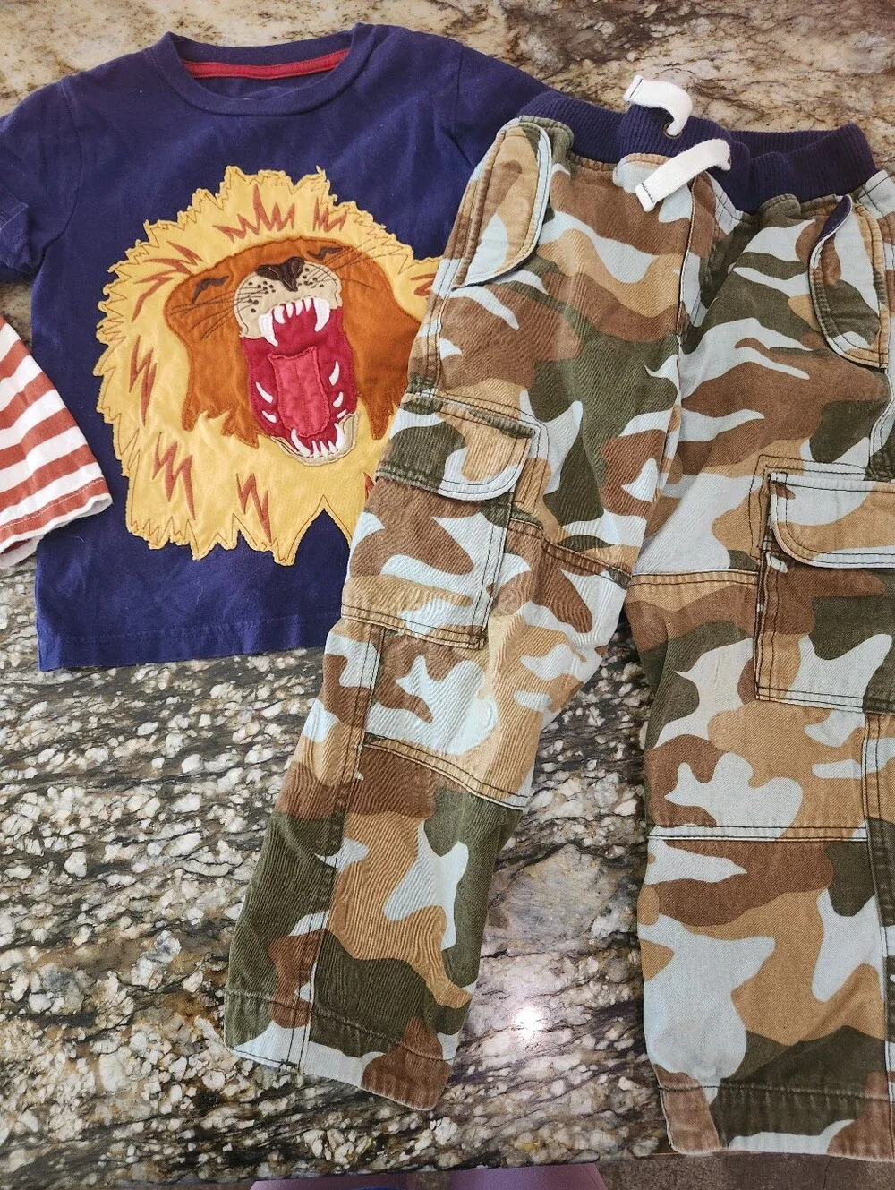 Boys Lion Graphic Tee with Camo Cargo Pants Sz 4/5